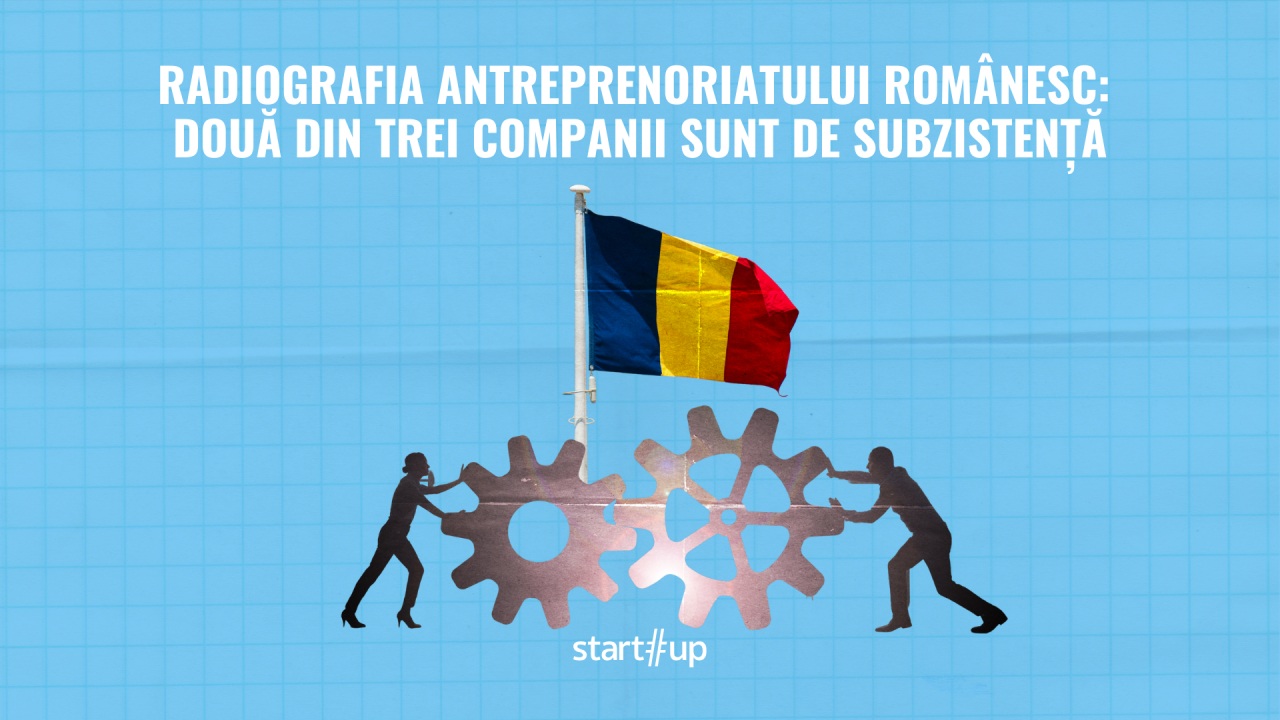 Moare antreprenoriatul românesc? 2 din 3 companii sunt de subzistență | Radiografia afacerilor locale