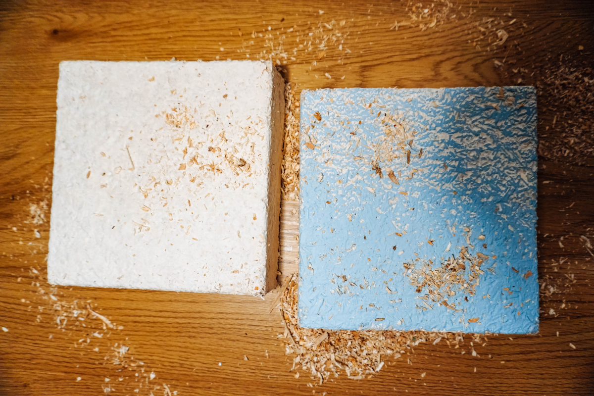 Ciupercile care ne ajută să construim societatea viitorului fără să o poluăm