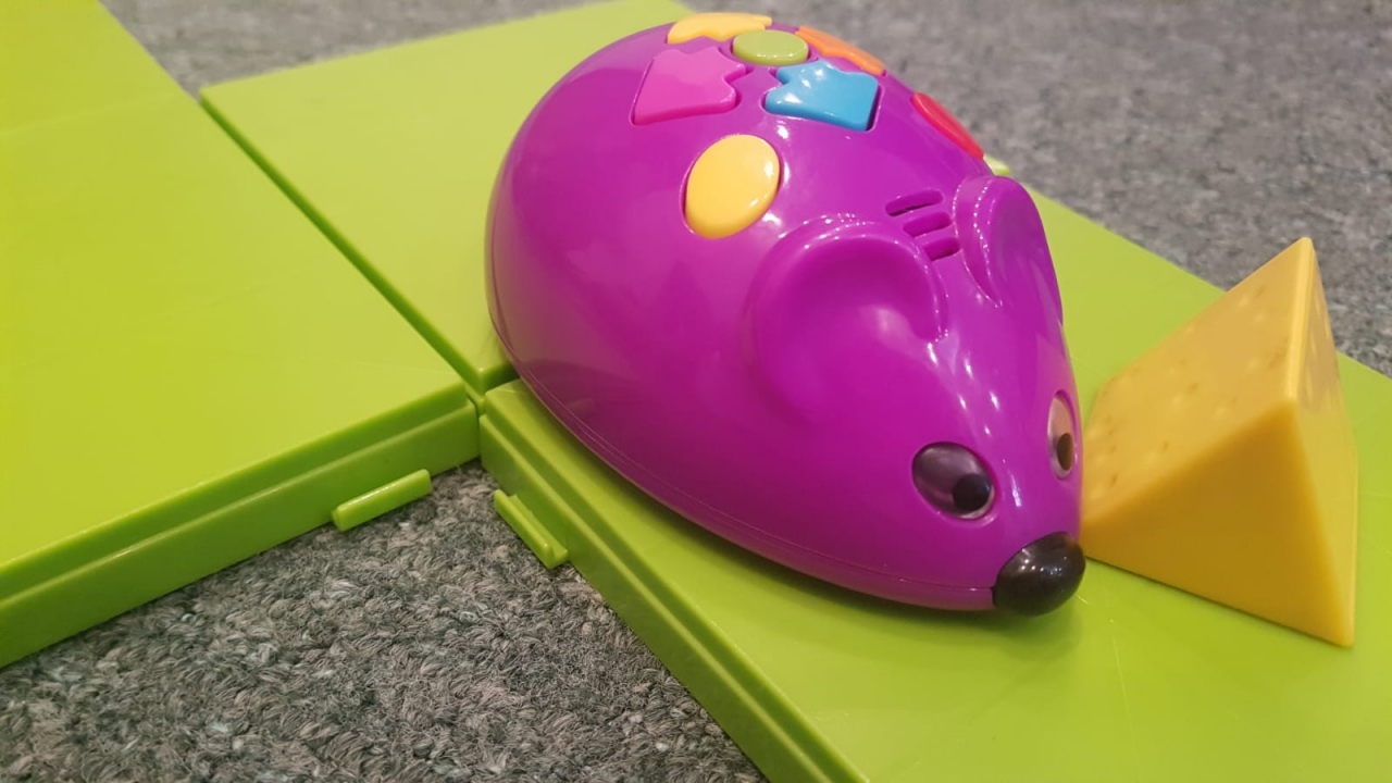 Coronavirus | Cursuri gratuite de robotică pentru elevii care stau acasă