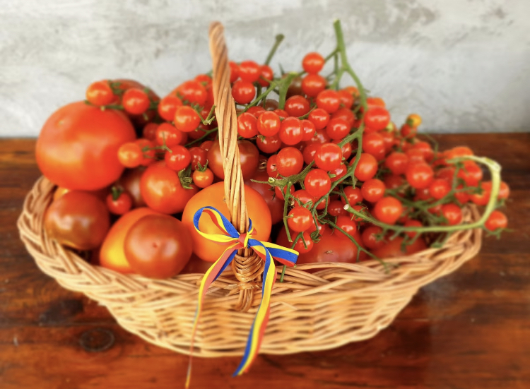 Cooperativa Țara Mea, departament de export. Produse românești în străinătate