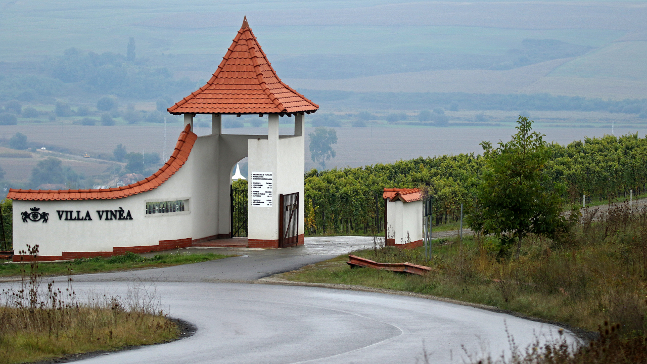 Crama Săptămânii: Villa Vinea, din nordul Italiei pe Valea Târnavelor