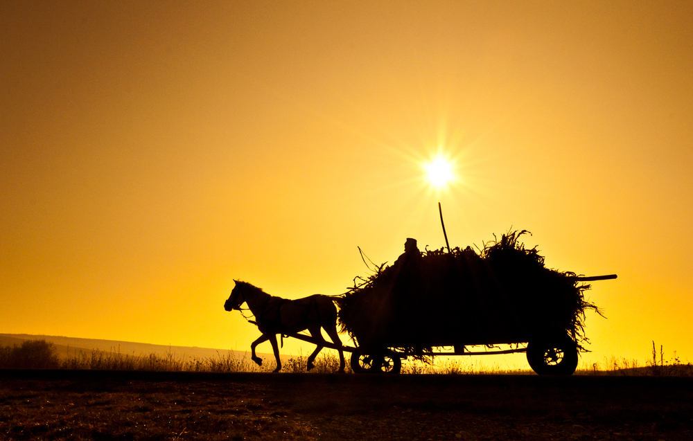 Mai lăsați-ne cu inovația, noi avem gropi și sărăcie