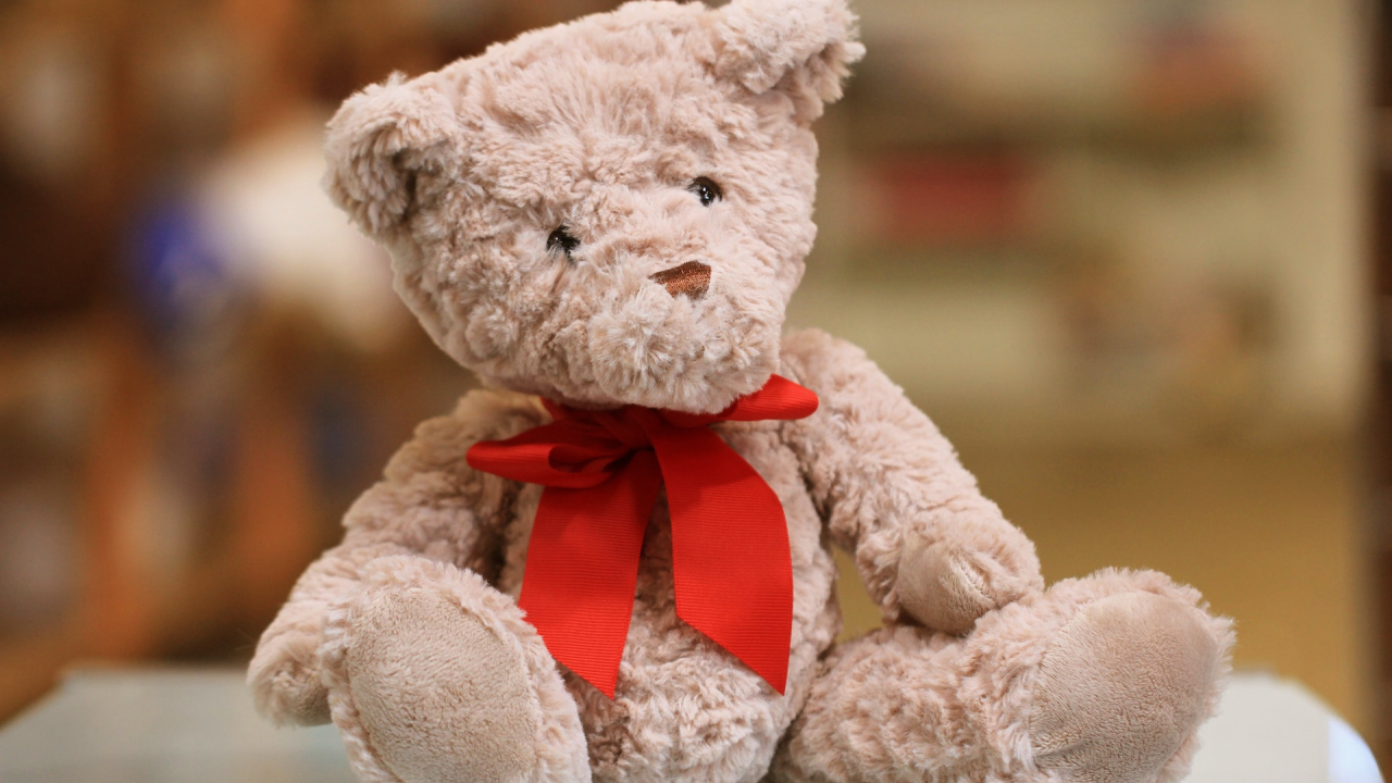 Viva Toys triplează capacitatea logistică cu un credit de la OTP Bank România