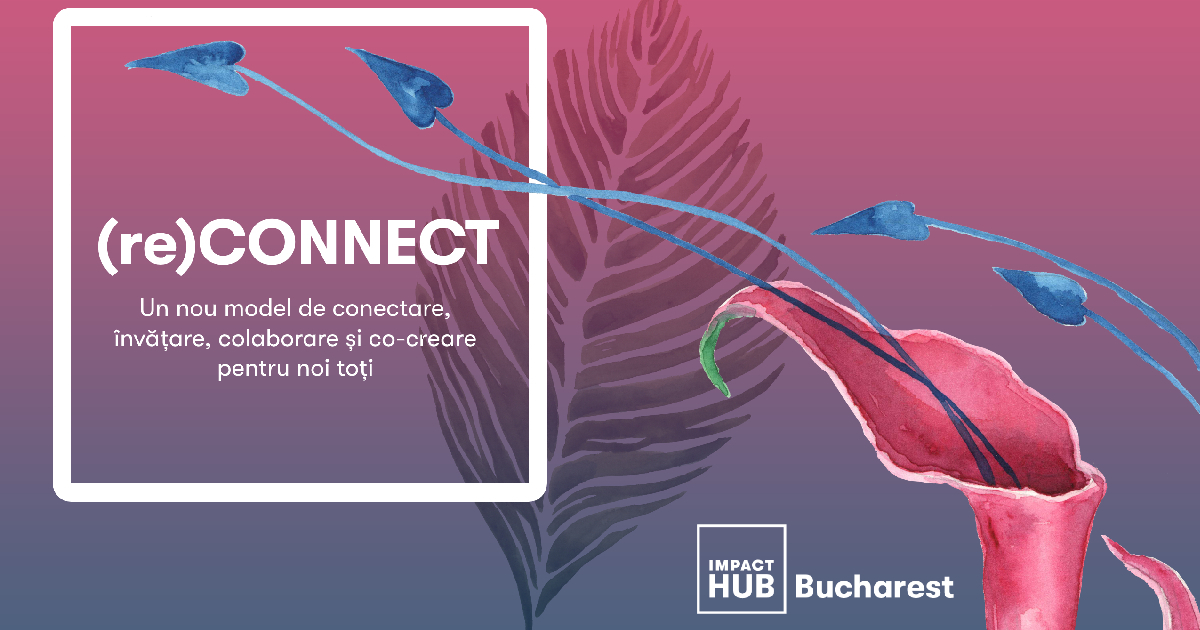 Impact Hub continuă proiectele pentru antreprenori pe platforma (re)Connect