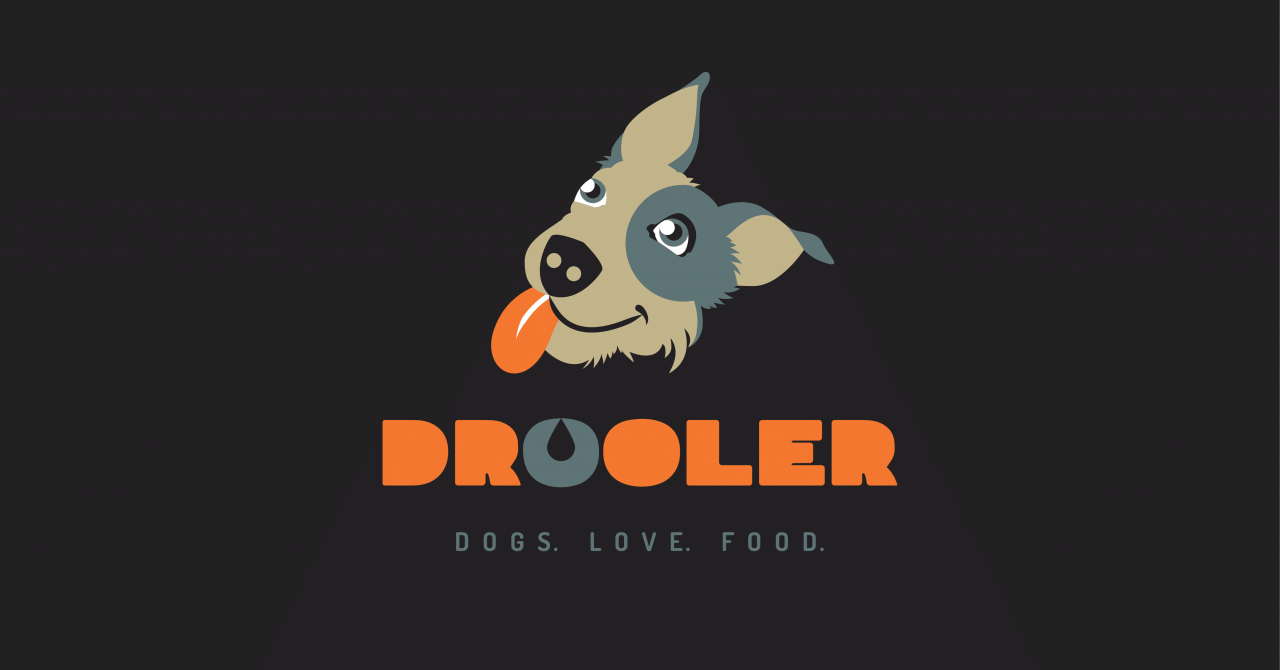 Drooler, prima afacere din România care oferă mâncare gătită pentru câini