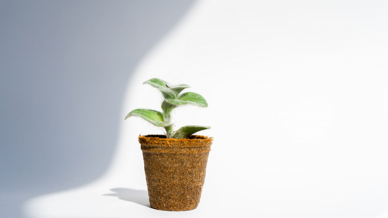 Circular Economy Hackathon: concurs de soluții în domeniul economiei circulare