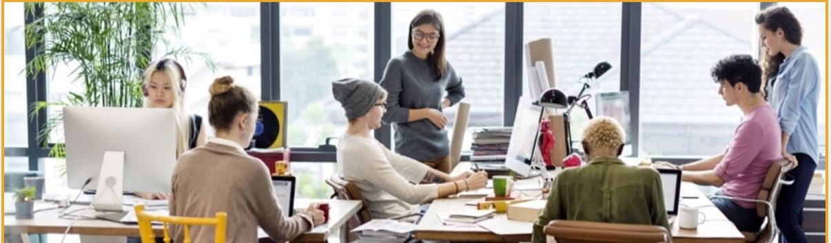 Tech'N Trade: incubator de idei pentru IT-știi din Cluj-Napoca