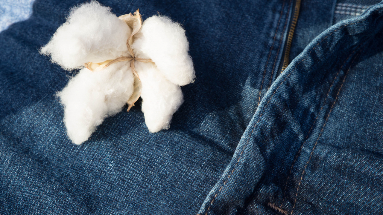 Motorul de căutare pentru haine din materiale sustenabile