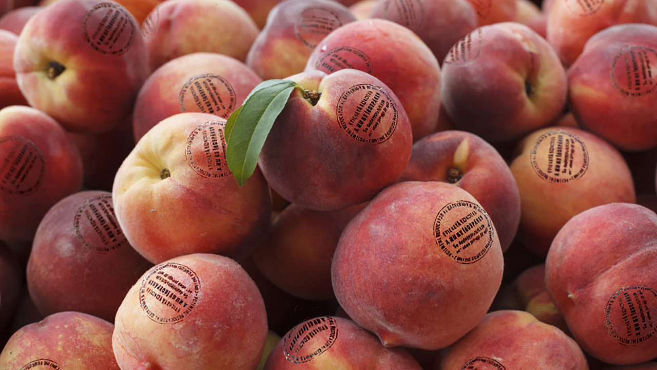 Peelhy, românii care au dezvoltat o bio-etichetă antimicrobiană