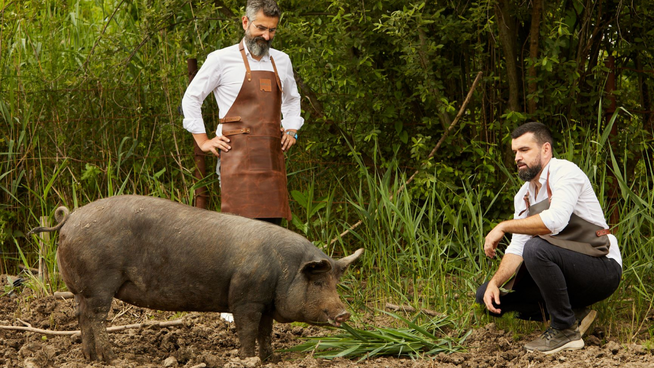 Tenorul Vlad Miriță lansează Moșia Chindia pe concept de „creștere prin pășunare”