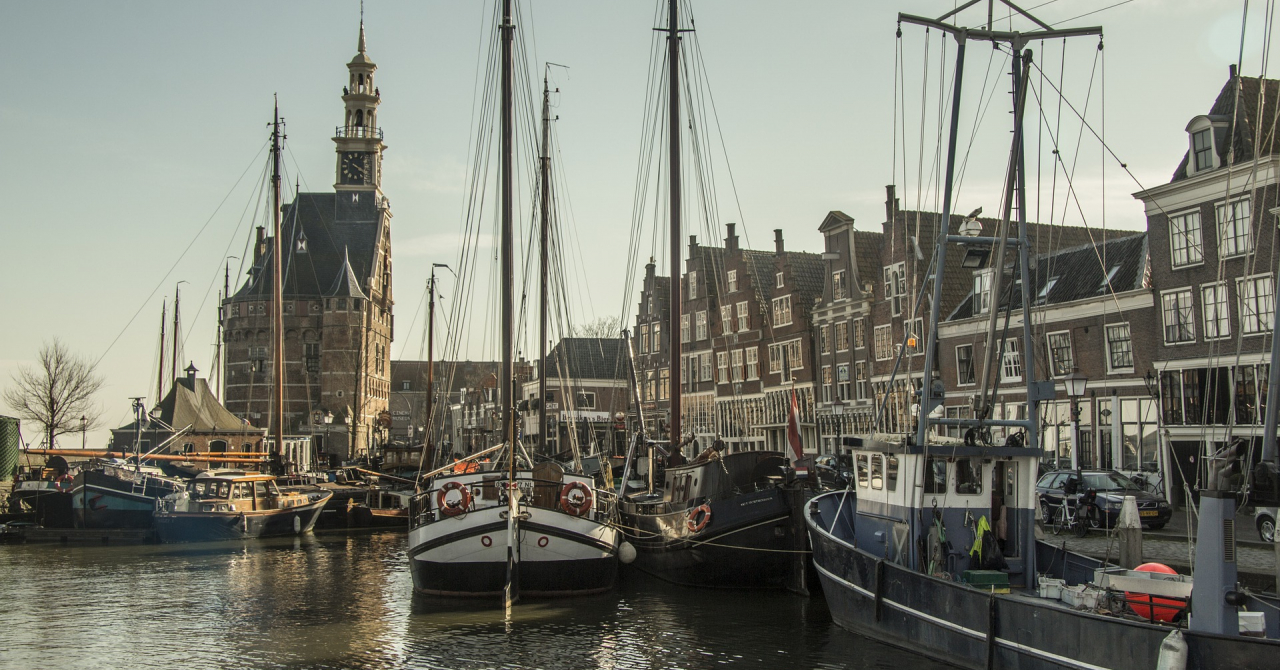 Burse pentru tineri în Olanda pe finanțe, economie, antreprenoriat