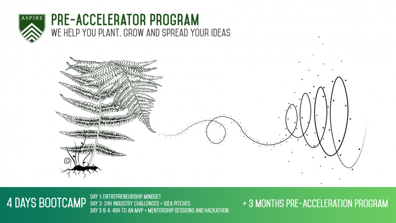 Preaccelerator pentru antreprenorii în devenire - Aspire Academy
