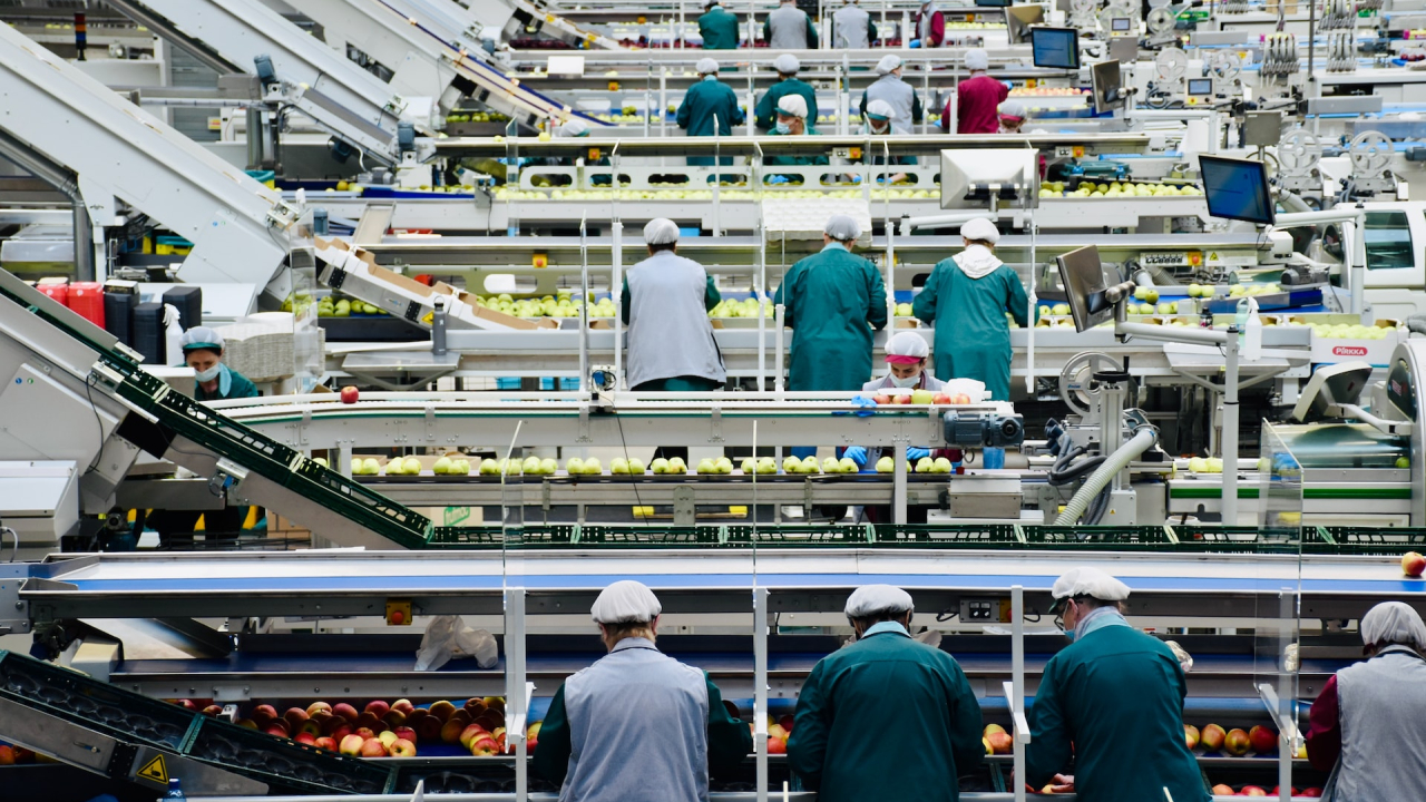 Index salarial: cât câștigă angajații din transport și distribuție