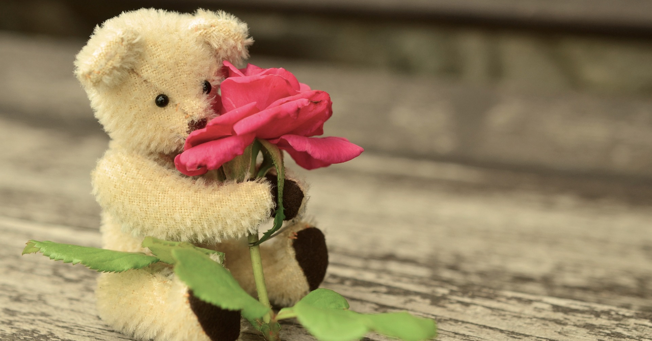 Ursulețul din trandafiri și cum poți să rămâi fără bani de Ziua Îndrăgostiților
