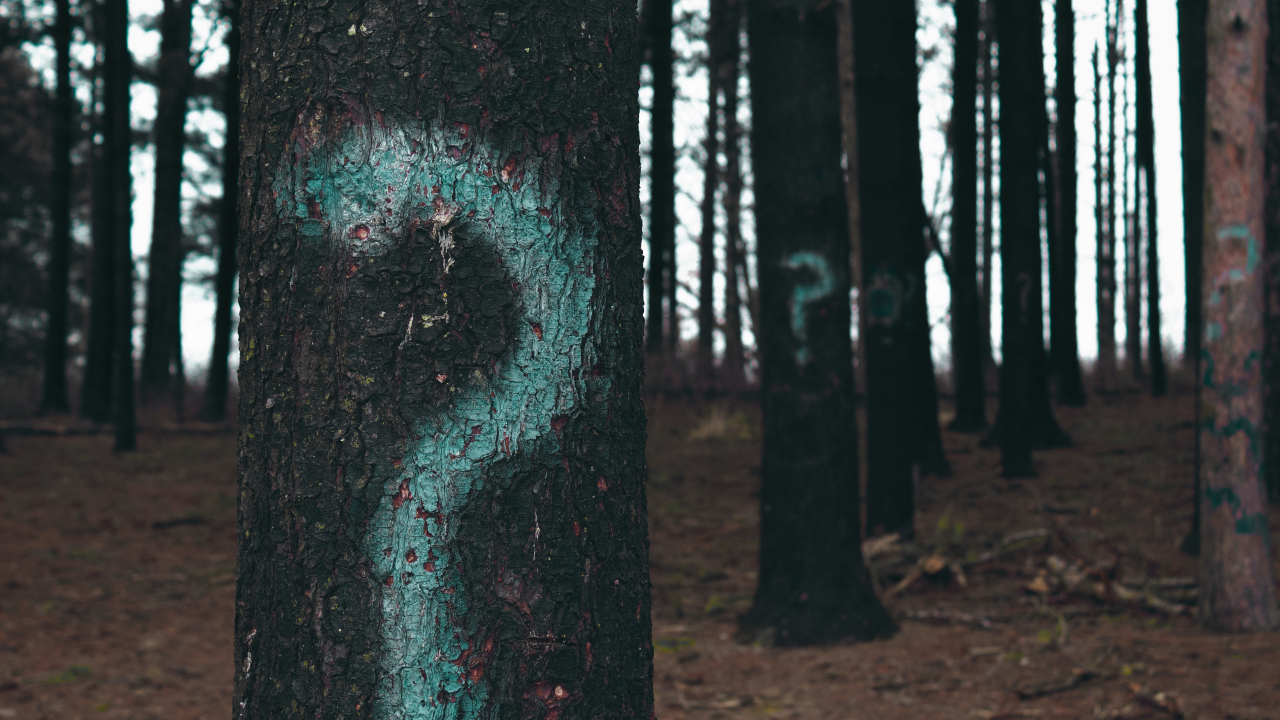 Investigație internă la Kaspersky Lab