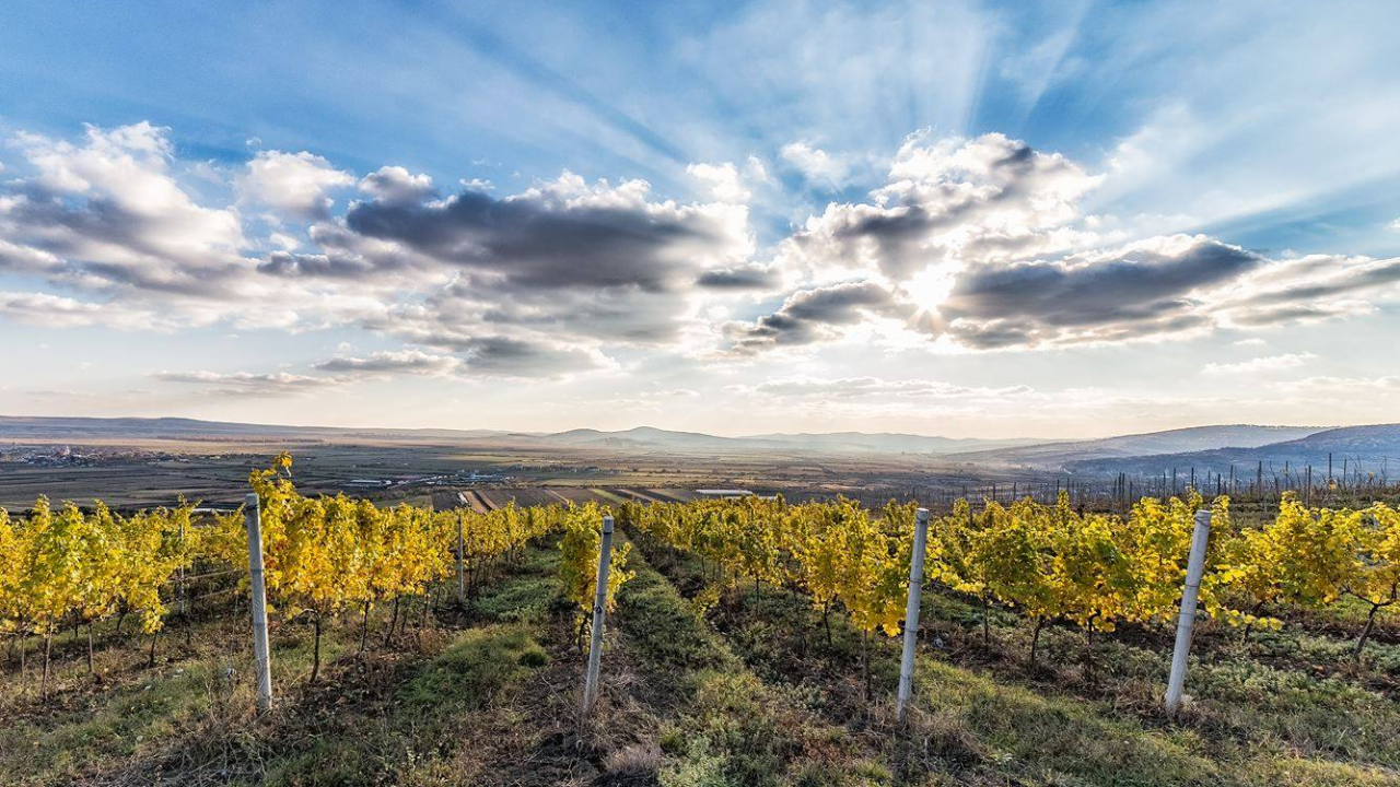 Legătura neștiută între Bazilica Sfântul Petru din Roma și Via Transilvanica