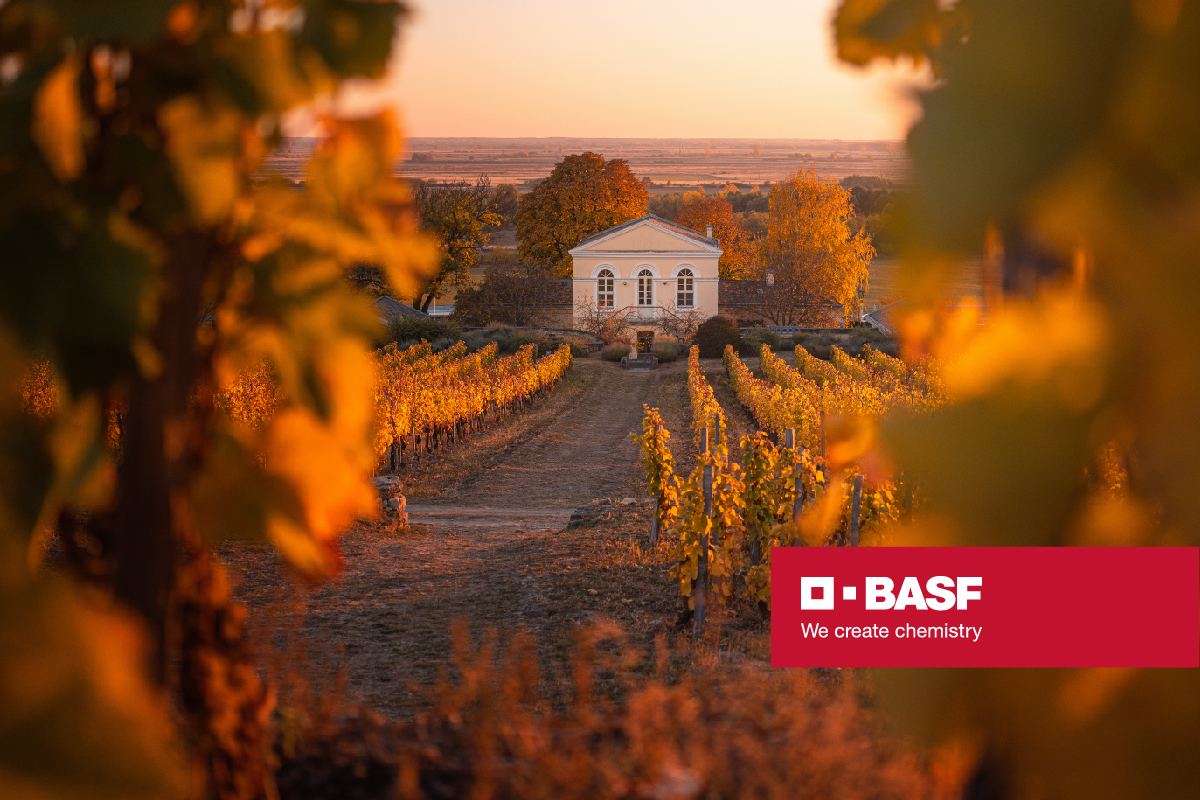 BASF: Vinurile românești trebuie să transmită integral povestea prin gust, design și turism