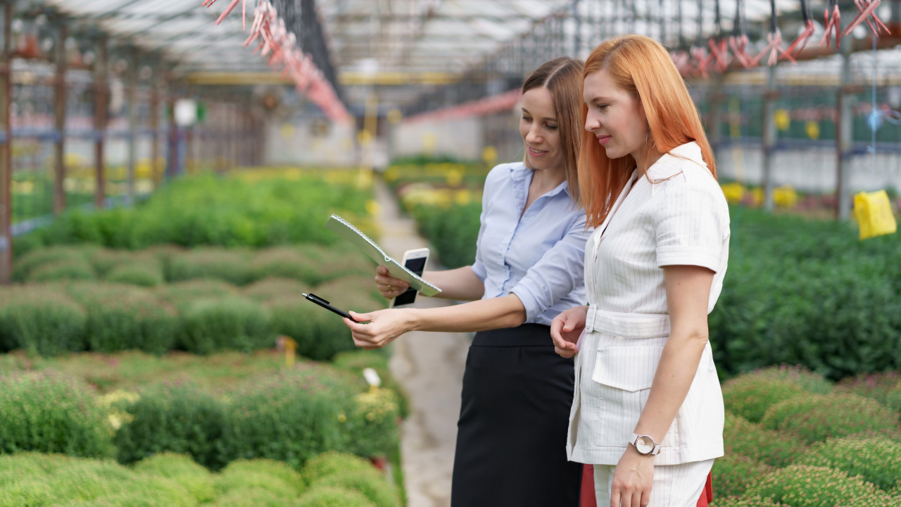 Rolul creditelor IFN în dezvoltarea sectorului agricol