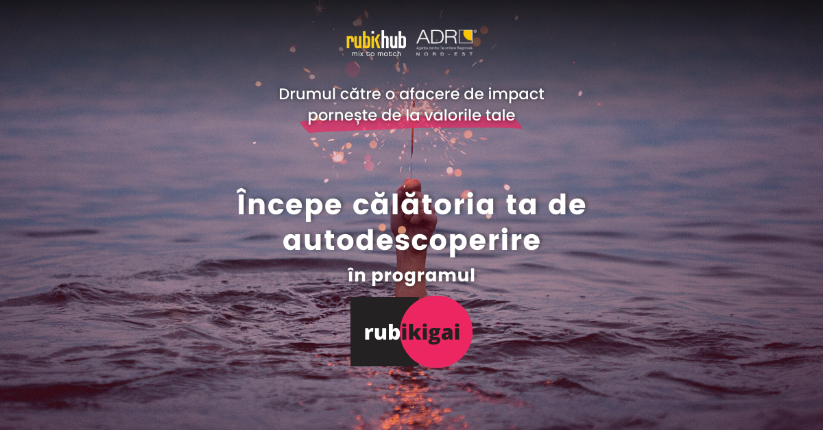 Cum te ajută programul de inspirație Rubikgai să pornești în antreprenoriat