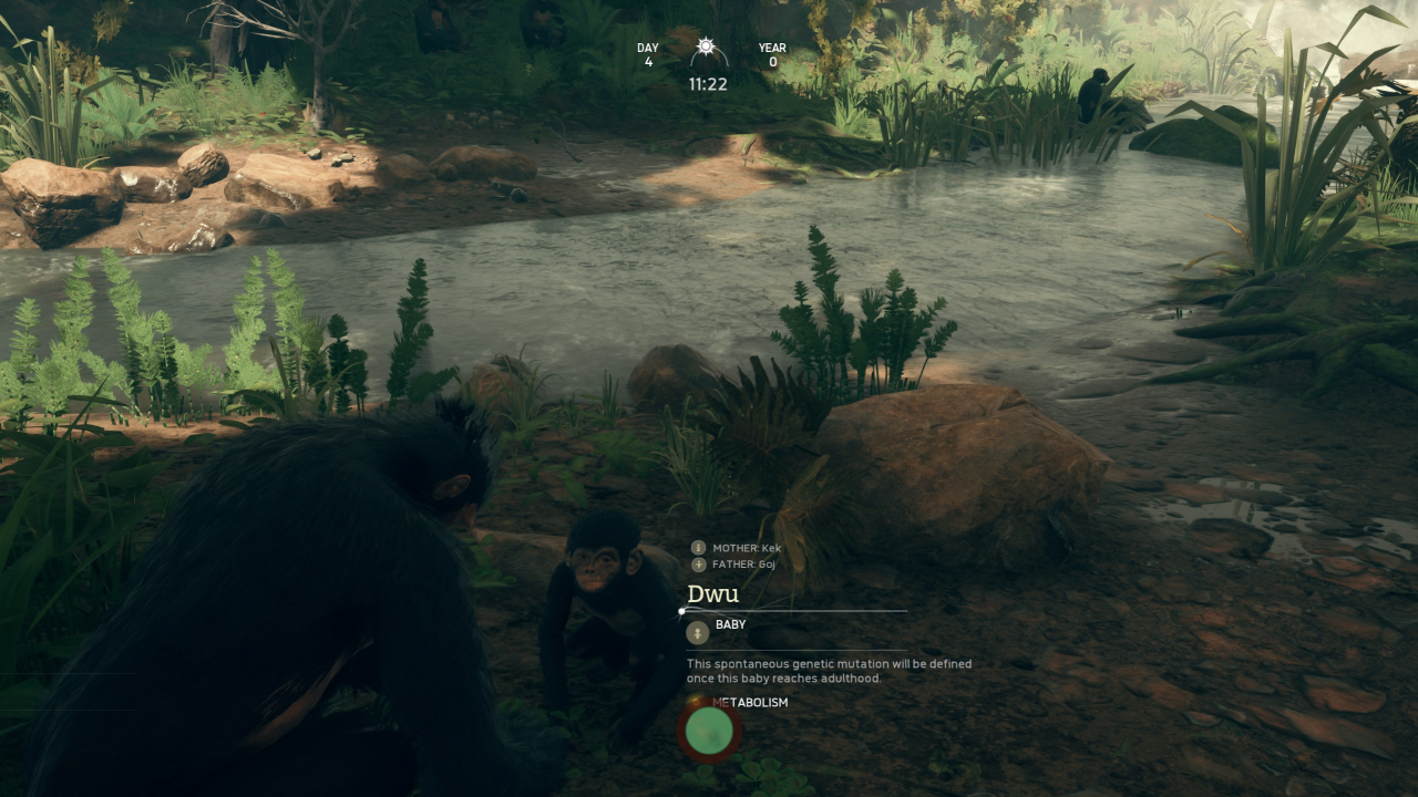 Activități de weekend: joaca de-a evoluția cu Ancestors