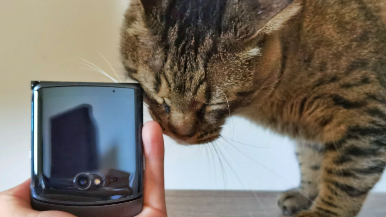 Review Motorola razr 5G: Smartphone pliabil aproape cu totul nou