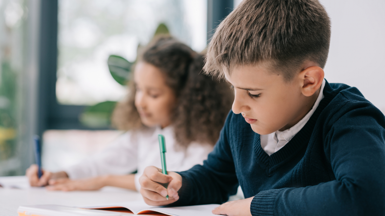 Cum poți avea o școală canadiană în franciză în România