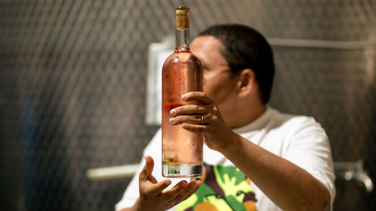 Gramofon Wine, mai departe cu 3 vinuri curatoriate de profesioniști ai vinului