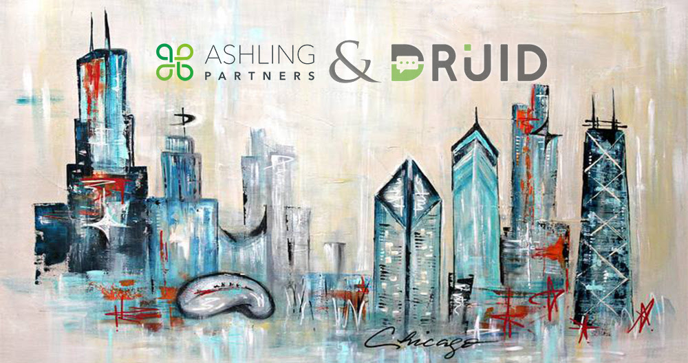 DRUID, proiecte de automatizare în America de Nord cu Ashling Partners
