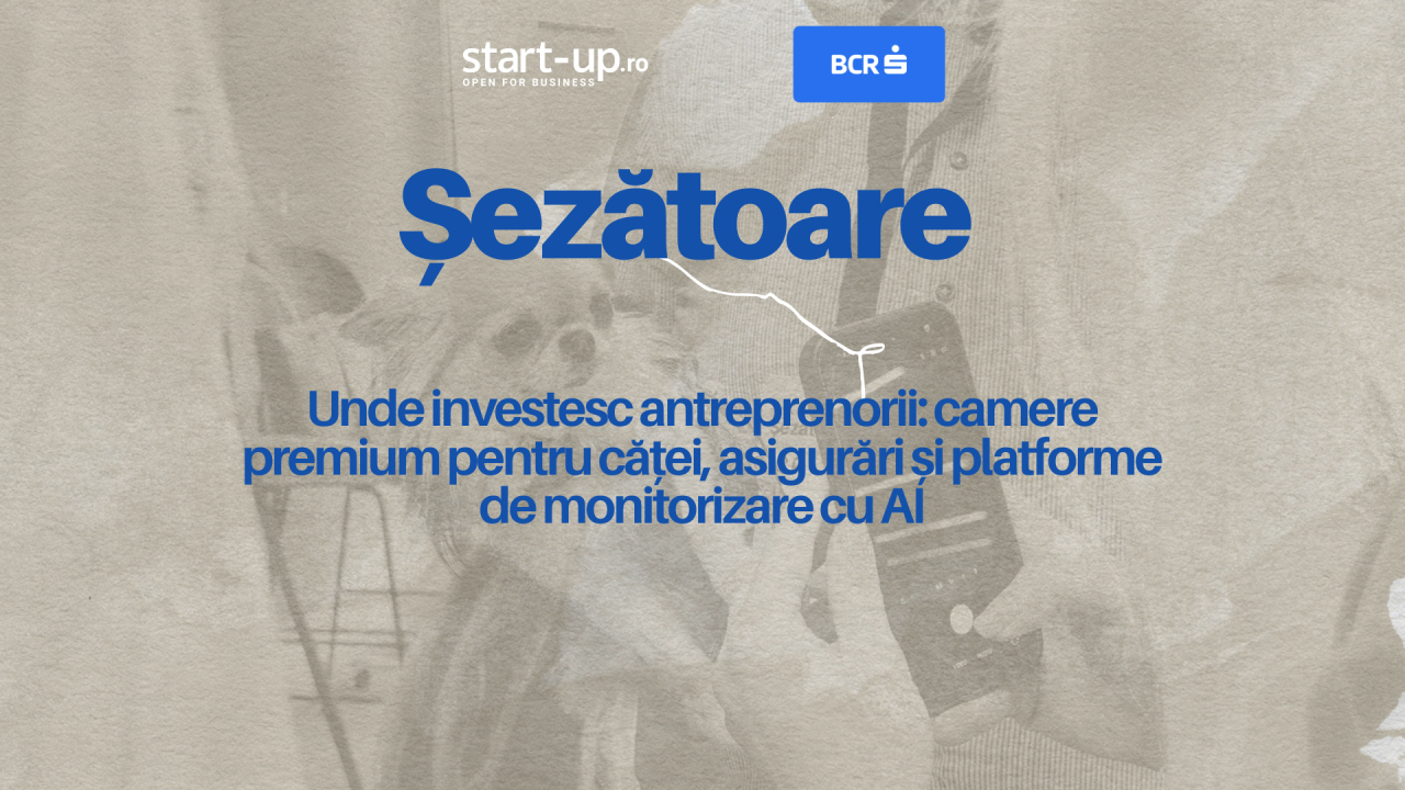 Șezătoarea de Pet Care. Unde investesc antreprenorii: camere premium pentru căței, asigurări și platforme de monitorizare cu AI