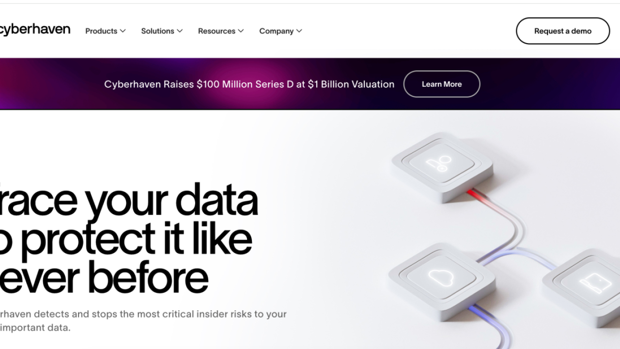 Cyberhaven raises $100 million series D at $1 billion valuation