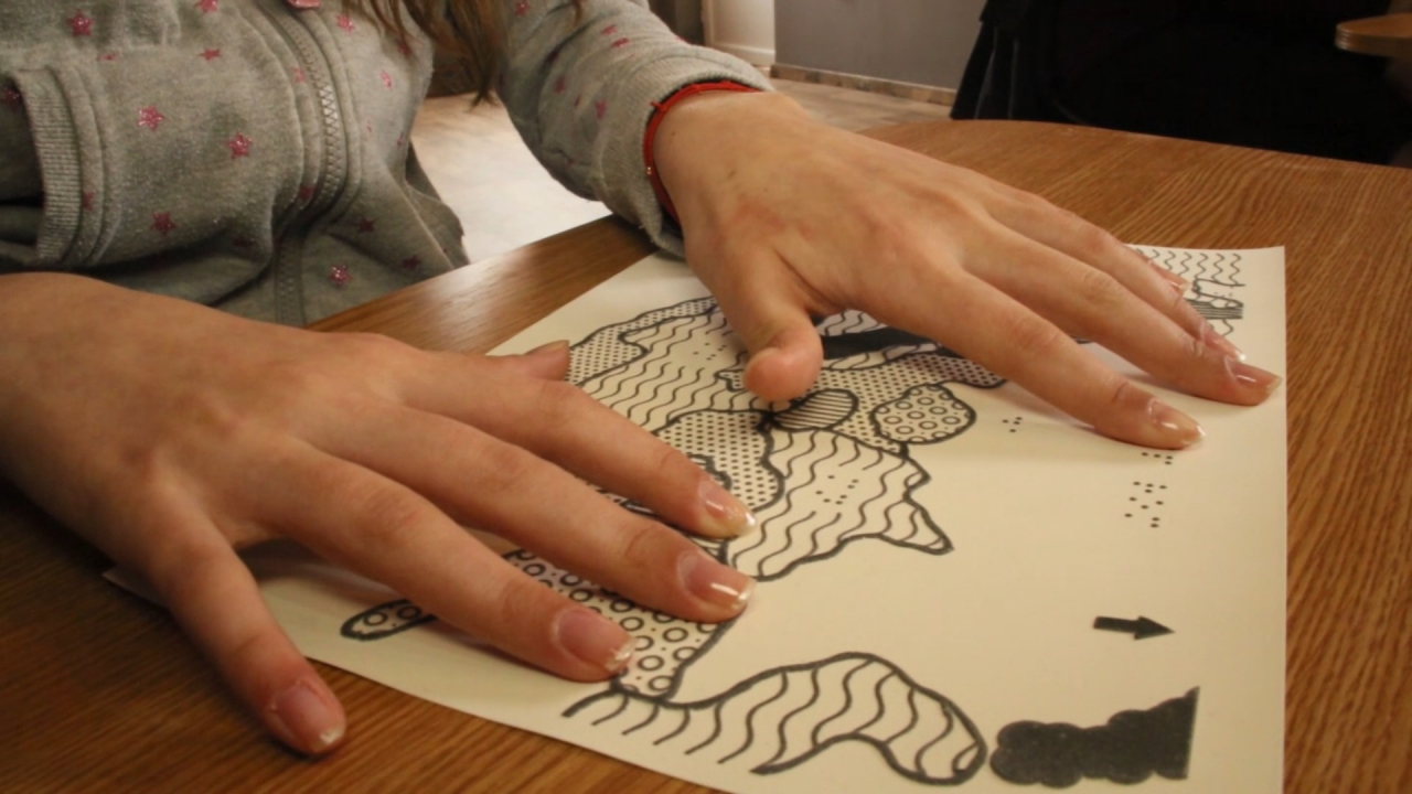 Istoria României, predată nevăzătorilor cu sprijinul Fundației Orange