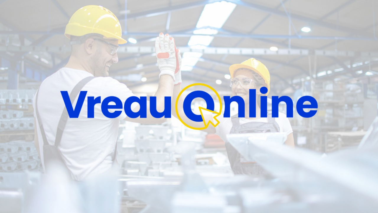 22 de firme pun bazele Vreau Online: program de digitalizare pentru afaceri