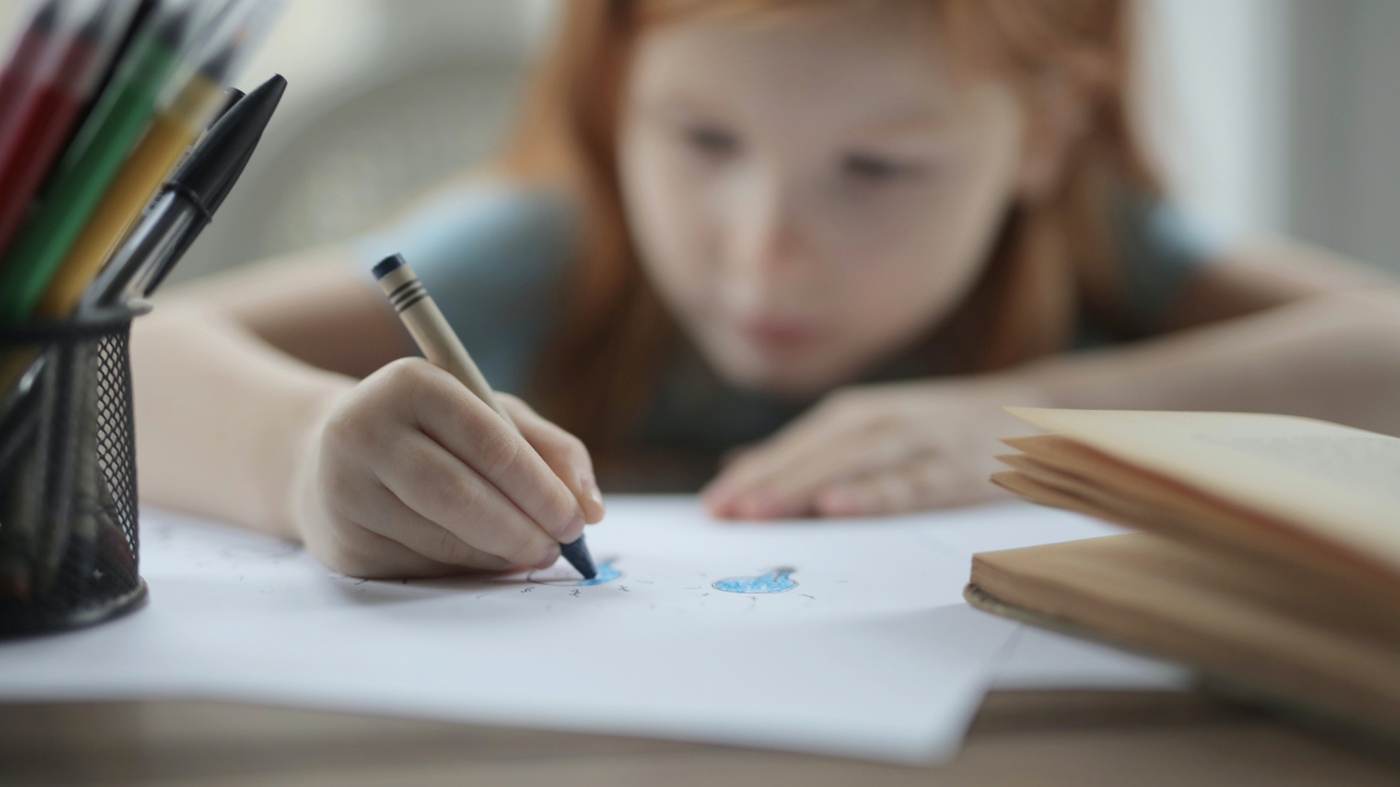 AmCham Romania face apel la autorități să continue procesul de educație