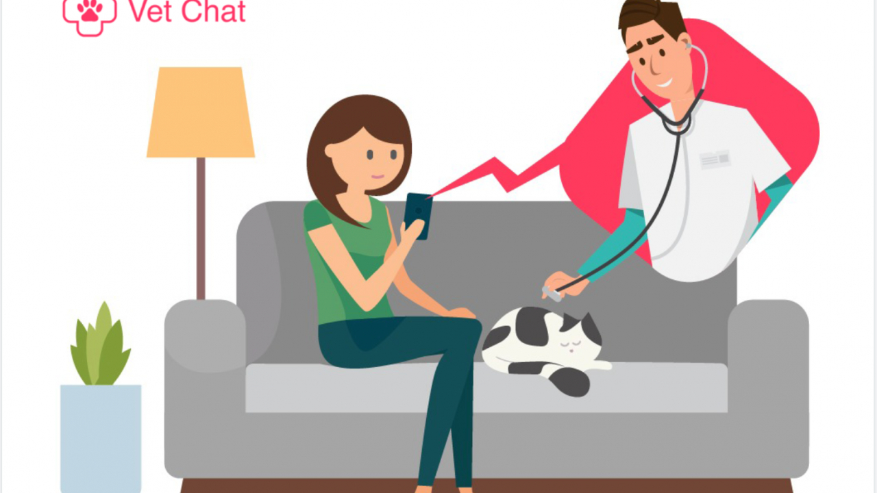 Românii de la Medic Chat lansează o platformă de telemedicină veterinară