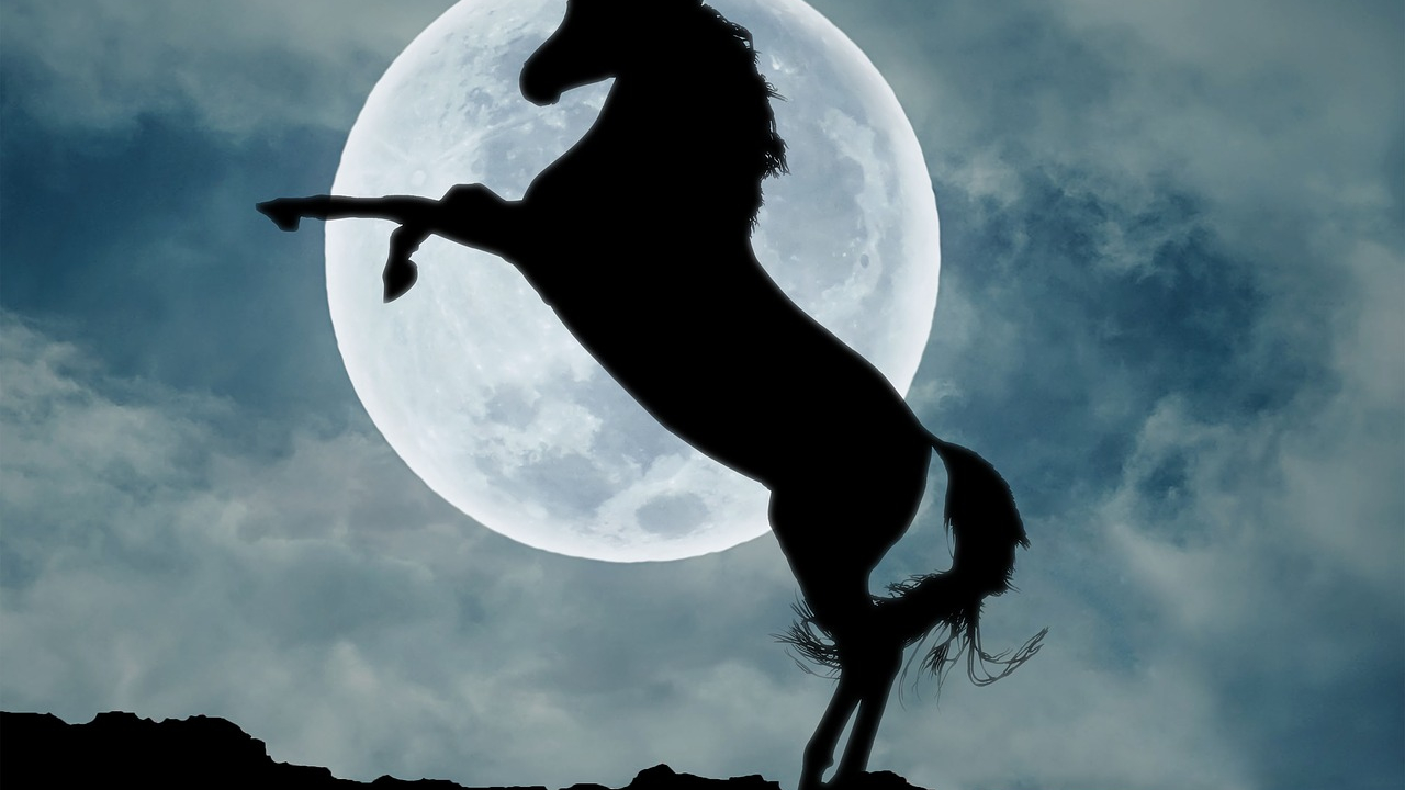 Idei de afaceri: startup-uri care au devenit unicorni în 2019