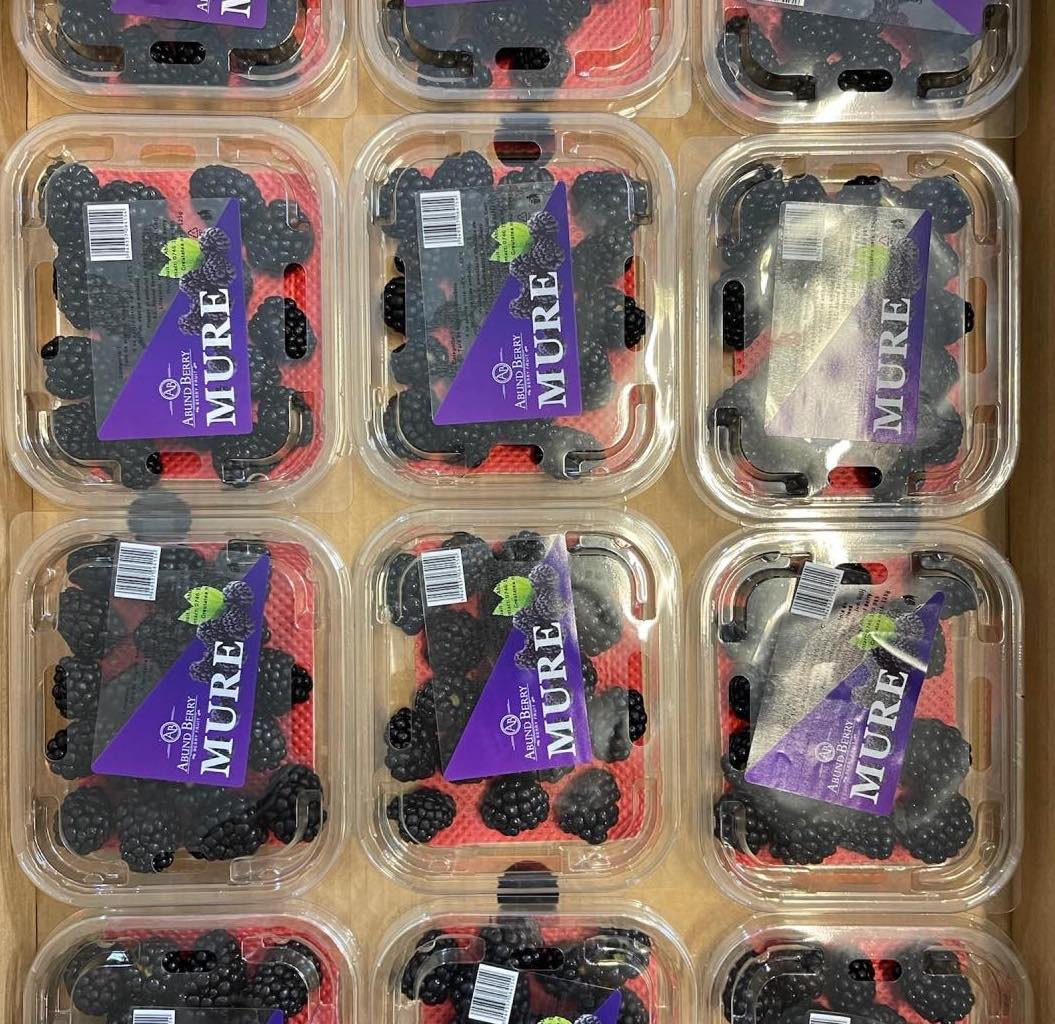 Abund Berry, 6 mil. € din vânzarea de fructe proaspete. Planuri pentru listare