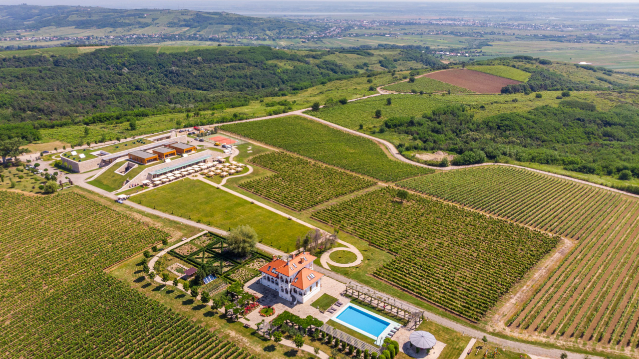 Vinurile săptămânii: Avocatură și viticultură a la crama Avincis