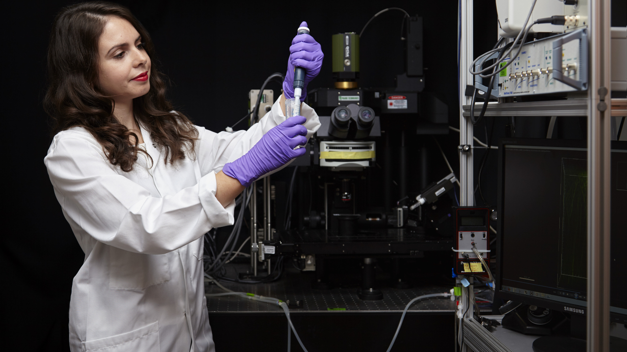 L'Oréal - UNESCO ”Pentru Femeile din Știință”: burse pentru proiecte de cercetare