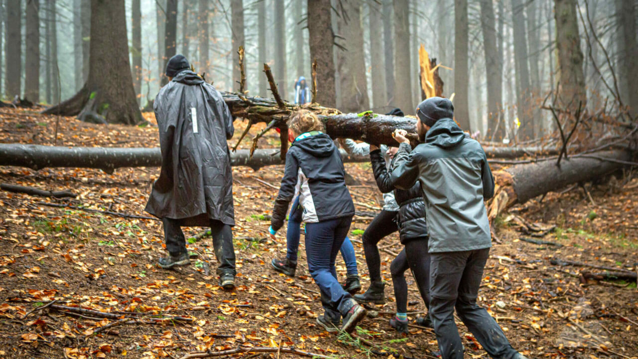 THE Leadership School: burse pentru tinerii remarcabili