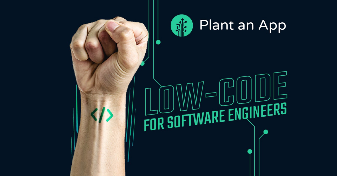 Analiză Plant an App: Cum ar putea low-code să ajute la digitalizarea statului