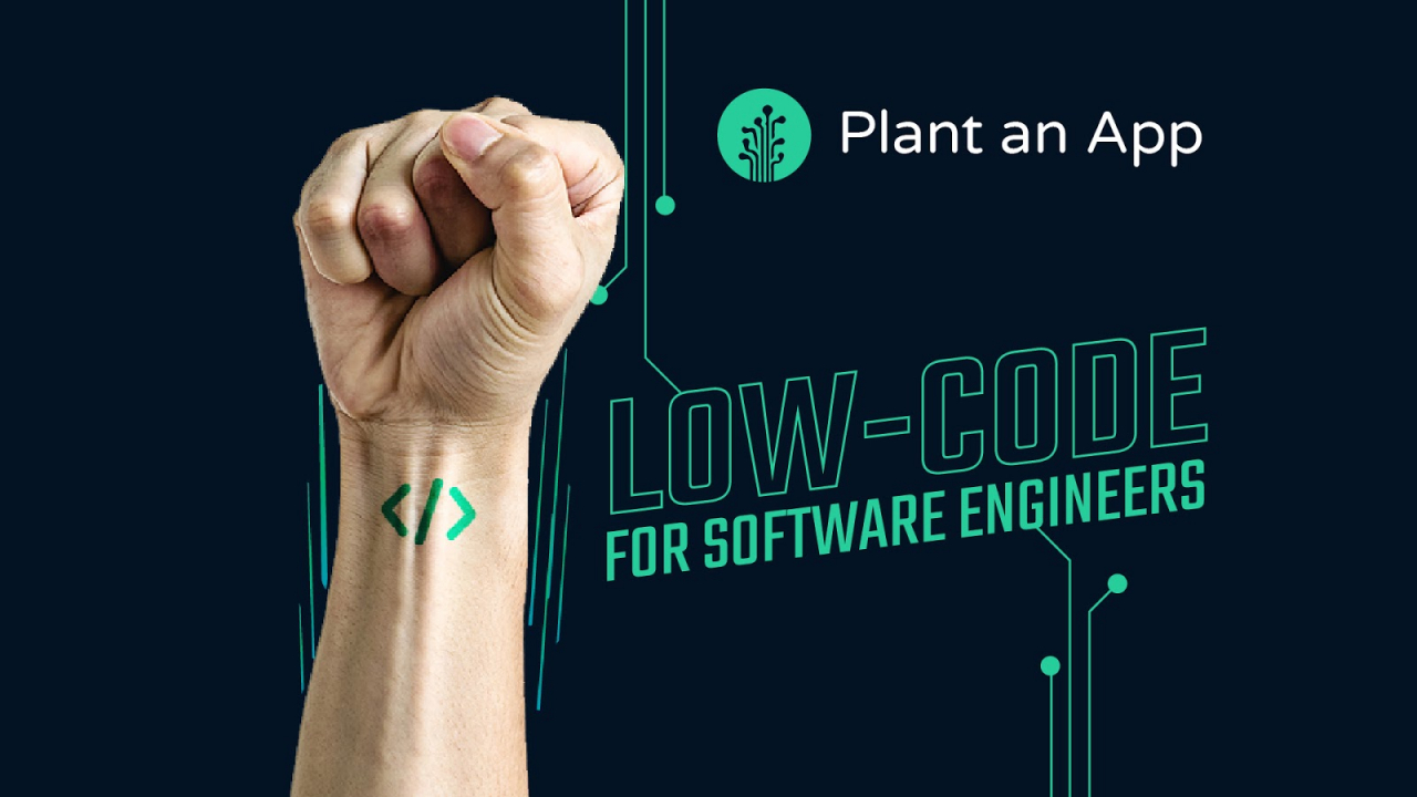 Analiză Plant an App: Cum ar putea low-code să ajute la digitalizarea statului