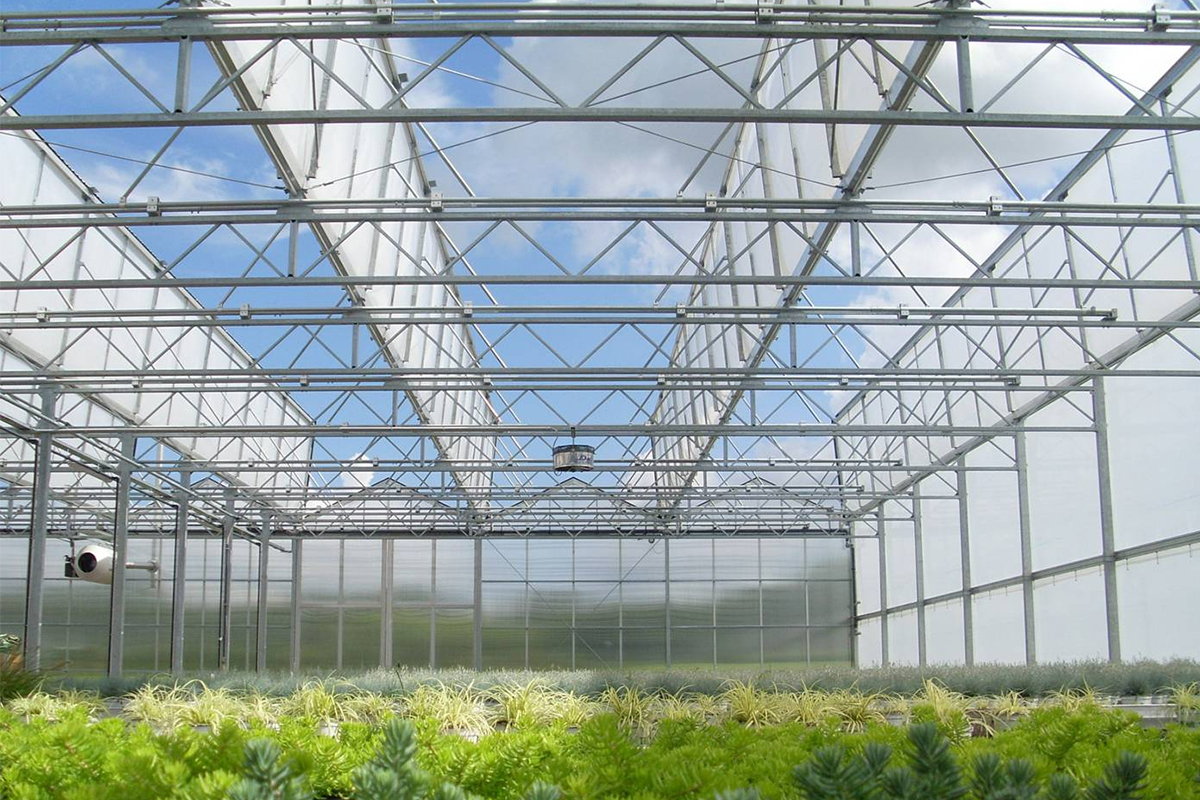 Elemente necesare pentru realizarea unui solar profesional de legume