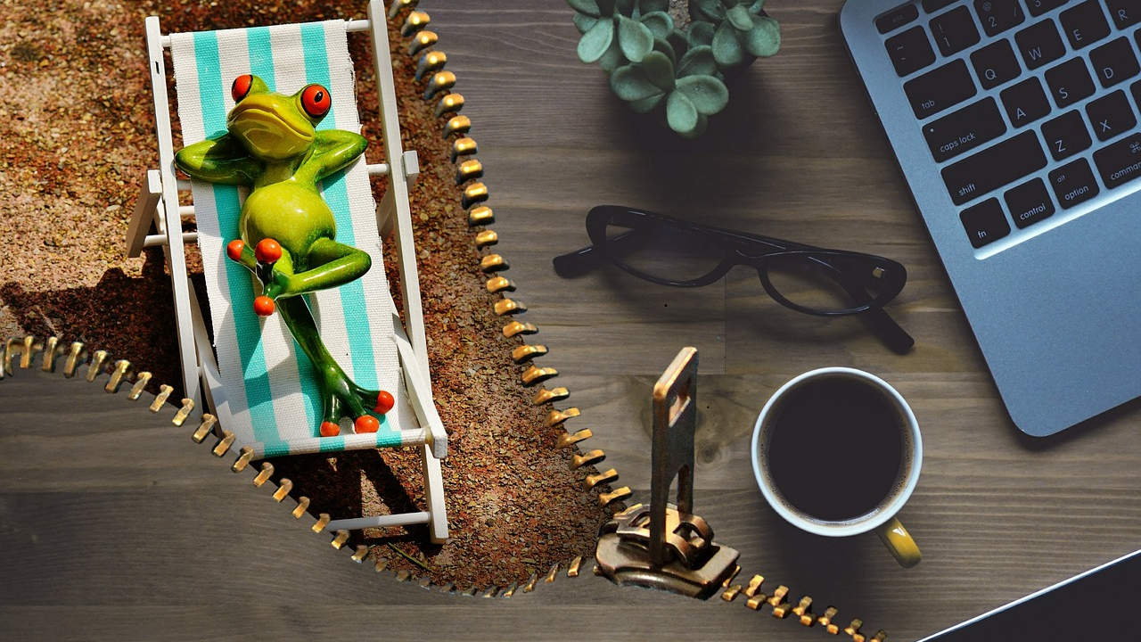 Primul decelerator din lumea startup-urilor - huzureală și afaceri