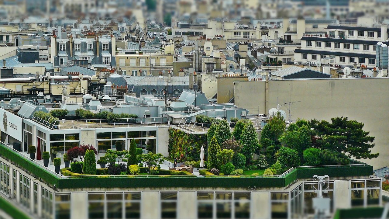 Kaufland dă 130.000 EUR pentru grădini sau ferme urbane în România