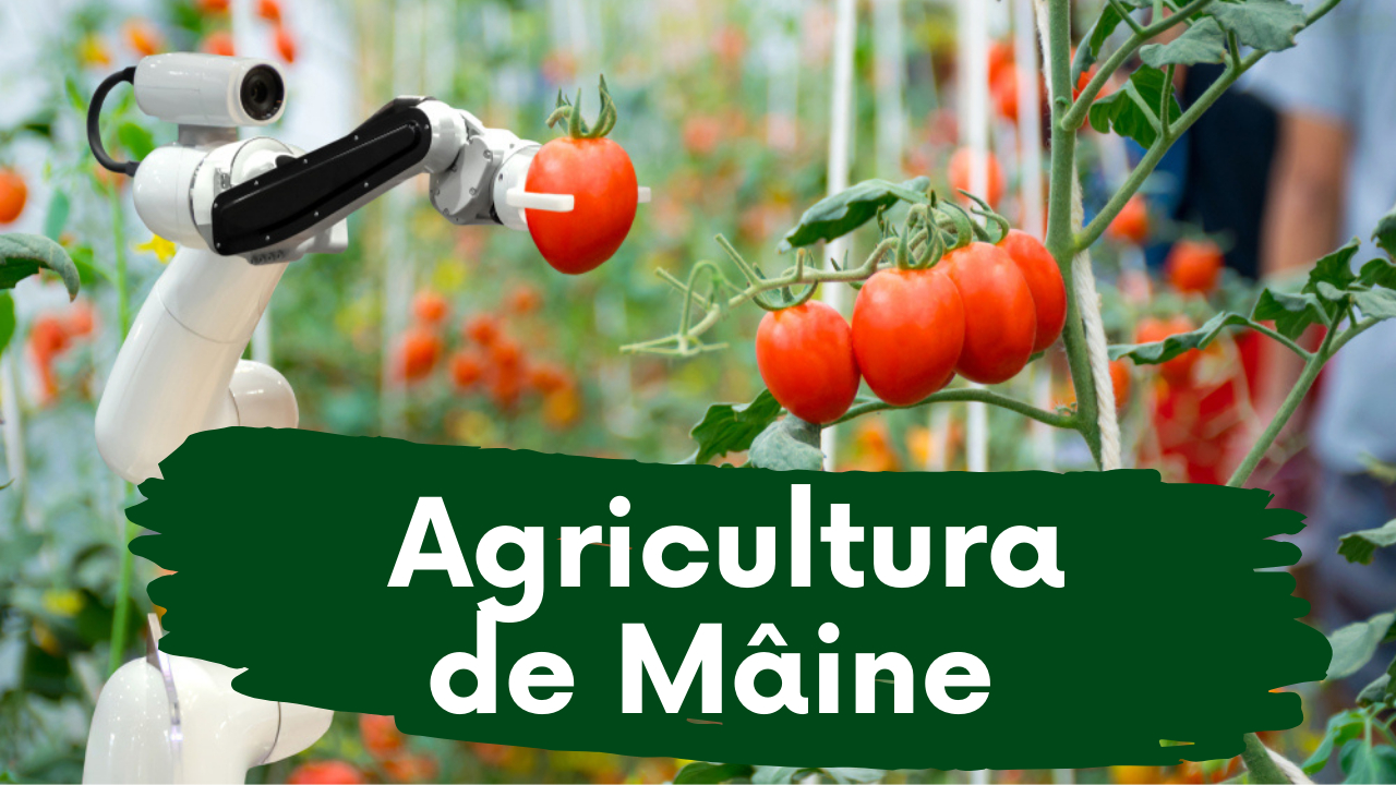 Agricultura de Mâine trebuie să devină agricultura de azi. Cum o facem?