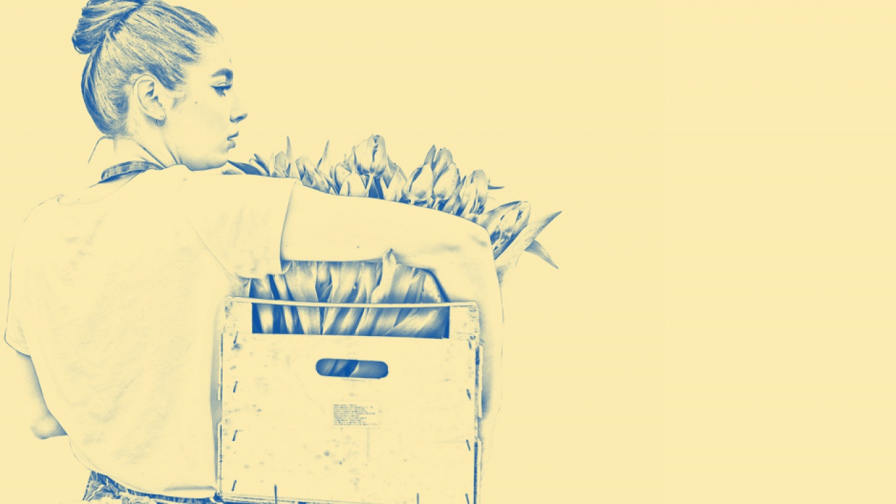 Mentorat și finanțare pentru 10 antreprenoare din industria agroalimentară