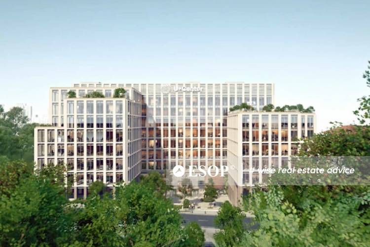 Spațiile verzi de la clădirile de birouri, un avantaj pentru munca hibridă