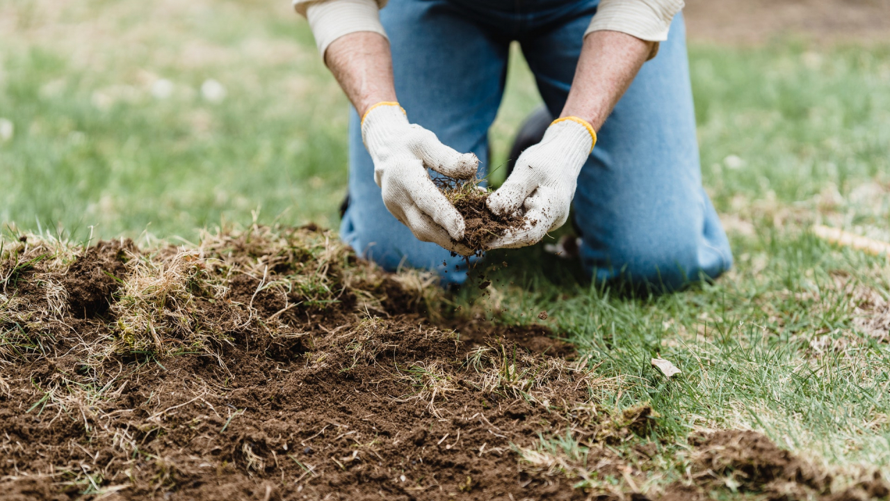 Vine, vine primăvara: vânzări mai mari la evoMAG la categoria casă & bricolaj