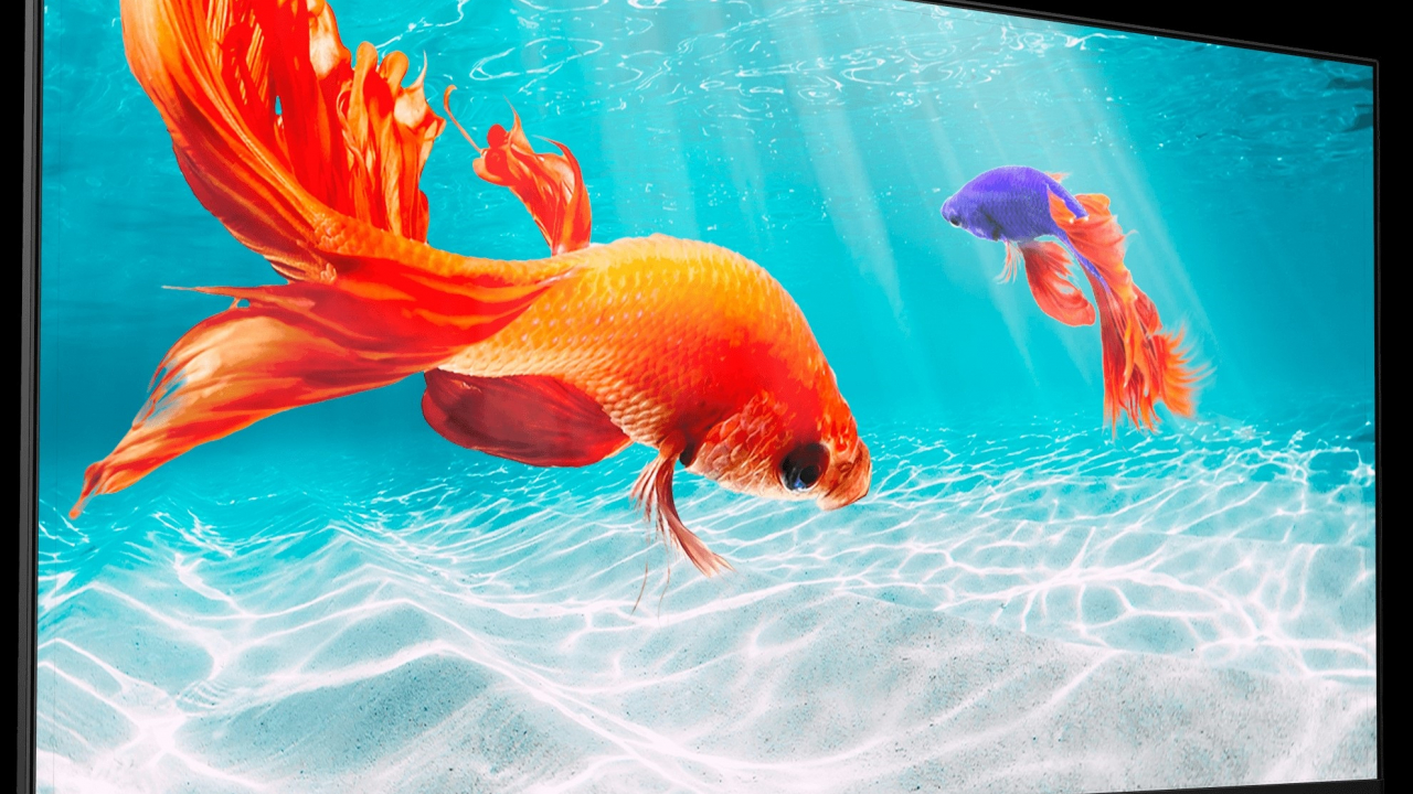 AOC lansează monitoare cu design fără ramă pe 3 laturi