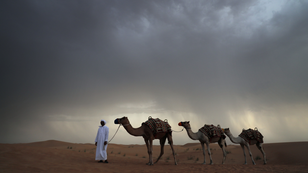 Cum arată o remaniere guvernamentală în Emirate?